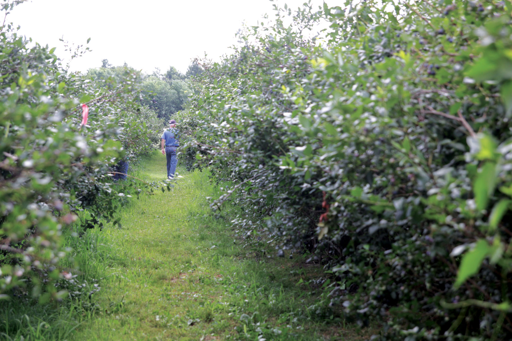 Heritage Family Farms